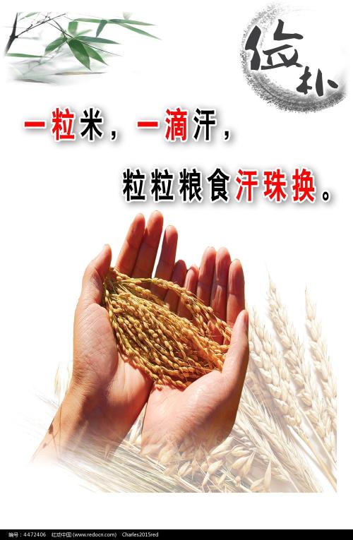 国际社会科学自由大学Diploma in Finance